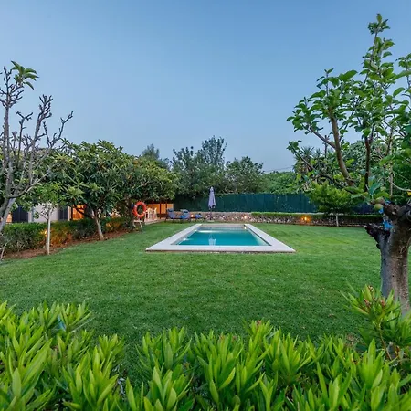 Alfonsa Польенса